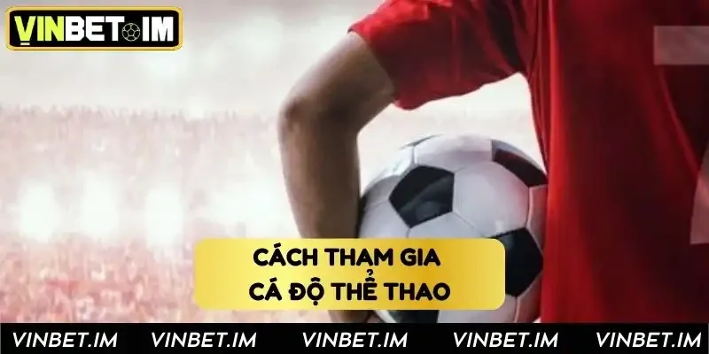 Từng bước tham gia cá độ chi tiết dành cho game thủ