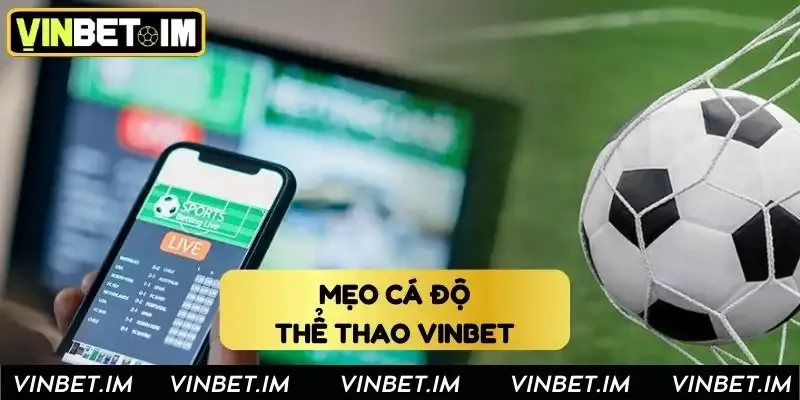 Mẹo chơi cá độ thắng to cho dân cược