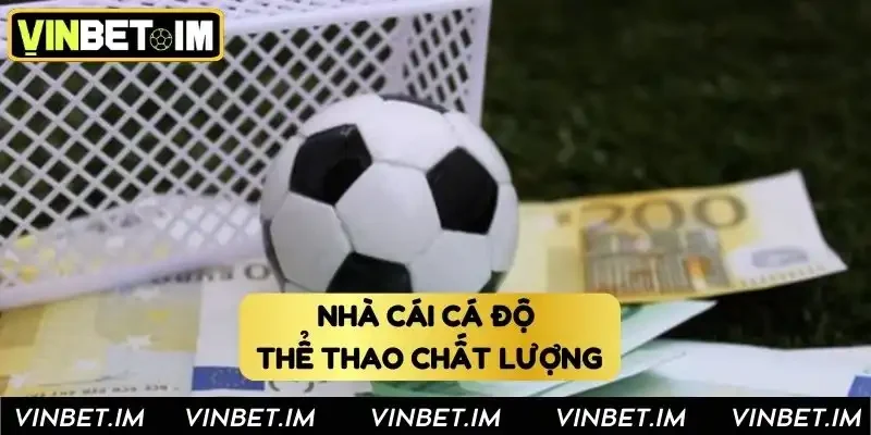 Khám phá Vinbet - nhà cái cá độ thể thao chất lượng